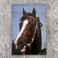 サラブレッドコレクション ポストカード マヤノトップガン