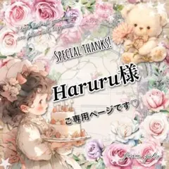 ◎Haruru様ご専用ページです◎