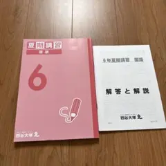 めるこ【新品】ジュニア予習シリーズ 2年生 年間セット 夏期講習の教材付き めるこ【新品】ジュニア予習シリーズ 2年生 年間セット 夏期講習