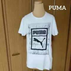 プーマ PUMA Tシャツ半袖 トレーニングウェア ビックグラフィックロゴ S