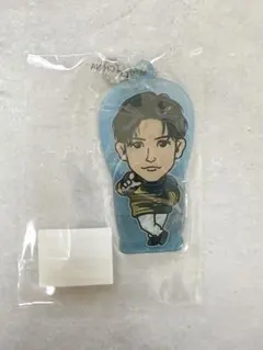 岩田剛典 缶バッジ クリアチャーム アクリルキーホルダー GAN JSB