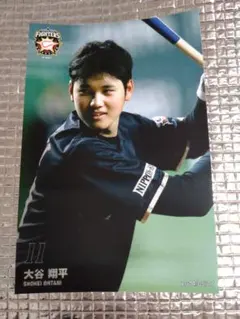 大谷翔平 2014 ハイライトフォト No.256 日本ハム 球団公式写真