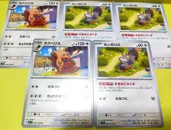 バイオレットex　ホシガリス　ヨクバリス