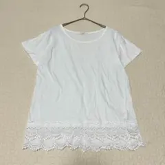 ショコラフィネローブ　レース半袖Tシャツ　F　カットソー　綿　無地 a2111