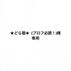 ★どら猫★ (プロフ必読！)様　専用