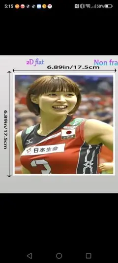 バレーボール"木村沙織"選手 木版プリント ・メタルアート3点一緒！