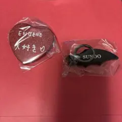 House of Vampire ガチャ　缶バッジ　キーホルダー　ソヌ