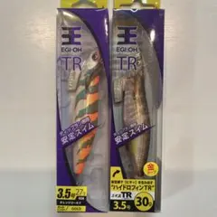エギ王TR 3.5号 2本セット ティップランのサムネイル