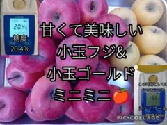 糖度20%！味は贈答用クラス3キロ☆信州高山村産小玉サンフジ☆甘い