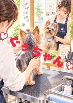 《一点限り》ヨークシャーテリア トリミング 犬