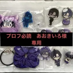 プロフ必読　あおきいろ様用