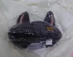 ピーターパン ロストキッズ アライグマ ファンキャップ ディズニー シー 帽子