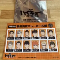 ハイキュー　ゴミ捨て場の決戦　選手名鑑風ブロマイド　烏野高校　入場特典