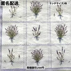 No.2399＊ペーパーナプキン＊デコパージュ3枚