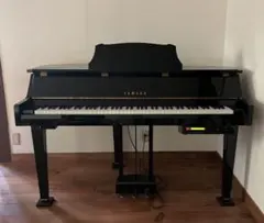 2026年最新】ヤマハ dgpの人気アイテム - メルカリ