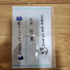 ≠ME ノイミー 個別ペンライトフィルム 2026 永田詩央里 - メルカリ