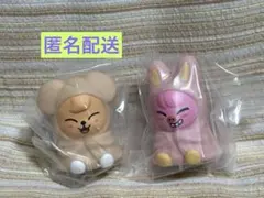 SKZOO ライトマスコット　パピーム　トゥエッキ　Straykids スキズ