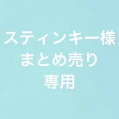 スティンキー様 リクエスト 5点 まとめ商品