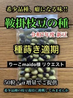 りーこmaido様 リクエスト 2点 まとめ商品