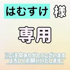 はむすけ様専用