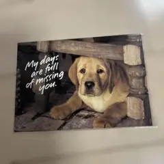 Item thumbnail for item f0e45a6f-f9a6-4dee-a489-d3be60273218