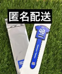 谷村海那 応援グッズ
