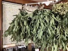 ユーカリ出品 ユーリカ ID4492】ZX145W-3 | 特選解体重機 | 株式会社アタッチ