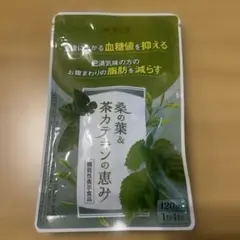 桑の葉＆茶カテキンの恵み 120粒のサムネイル