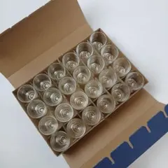 Item thumbnail for item 8b3d0b59-2127-480a-8ec4-b7931072115d