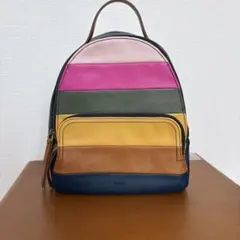 FOSSIL マルチカラー リュックのサムネイル