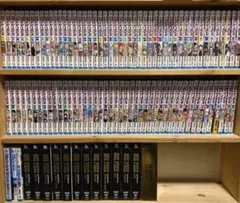 ワンピース グランドログカード フルコンプリート 30種 2007年 ワンピース グランドログカード フルコンプリート 30種 2007年 - メルカリ