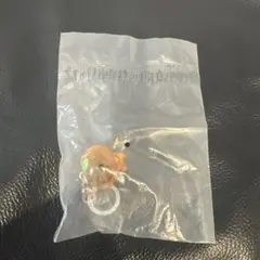 みかんぼうや　めじるしアクセサリーのサムネイル