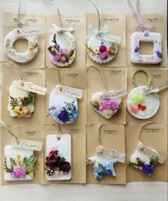 Item thumbnail for item 18b76b75-aaa6-4f21-afe7-cf5ec2a8a97a