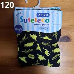 (新品)恐竜 ステテコ