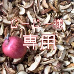 じーじー様専用ページ②✩︎⡱