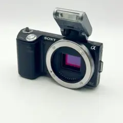 2025年最新】sony nex-5nの人気アイテム - メルカリ