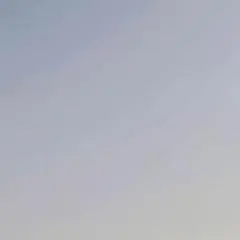 Item thumbnail for item 54038b9a-150e-4c98-89fc-770a715c66e1