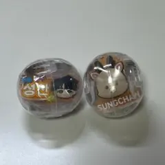 RIIZE ガチャガチャ ソンチャンAB セット