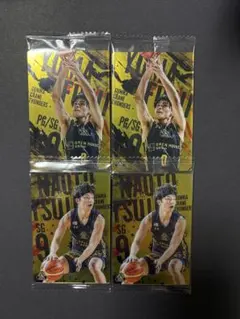 B.LEAGUEB ツインウエハースカード　群馬　辻直人　藤井祐眞　セット