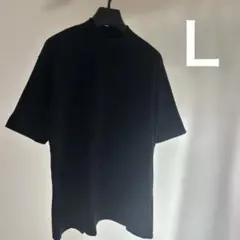 Hanes for BIOTOP ヘインズ モックネックTシャツ 半袖 Ｌ 黒のサムネイル