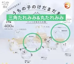 うちの子のけだまだま　犬