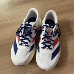 【極美品】ADIZERO EVOSL Woven 26.0 アルペンバッグ付 極美品】ADIZERO EVOSL Woven 26.0 アルペンバッグ付 - メルカリ