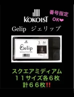 ココイスト　ジェリップ　スクエアミディアム 　66枚　お値引き中‼️