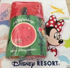 ディズニーリゾート ディズニーランド サークルタオル ミニー お昼寝ケットのサムネイル