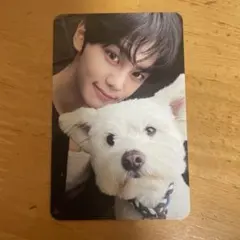 ギュビン　ALL デジパ 封入 トレカ レオ 犬 ゼベワン never say