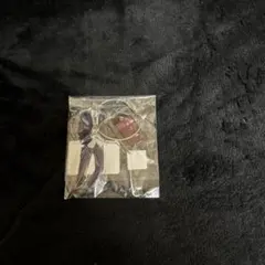 深田竜生 アクキー