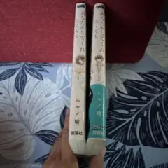 あなたがしてくれなくても 2巻セット