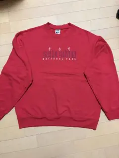 古着 スウェット 赤 L グランドキャニオン Fruit of the Loom