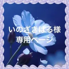 いのざきはる様 リクエスト 2点 まとめ商品