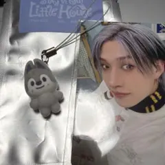 2026年最新】ウルフチャン skzooの人気アイテム - メルカリ